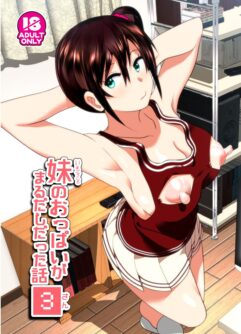 [Supe (Nakani)] Contos – Os Seios Deliciosos da Minha Irmã 3 [Digital]